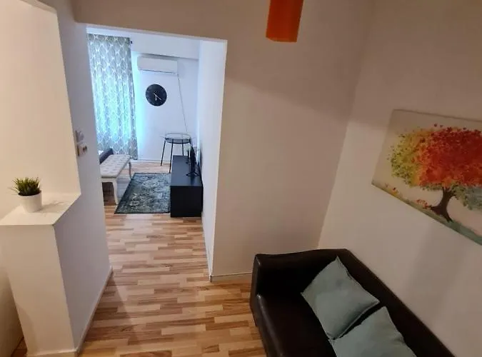 Color Nicolae Tonitza St Apartman