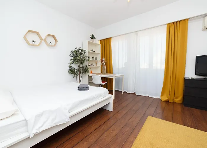 Color Nicolae Tonitza St דירה