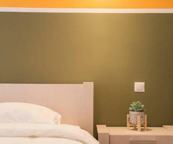 Apartman Color Nicolae Tonitza St