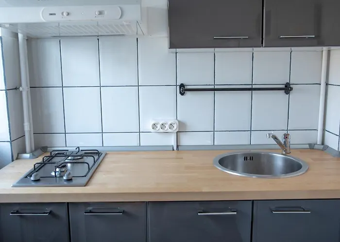 Apartman Color Nicolae Tonitza St