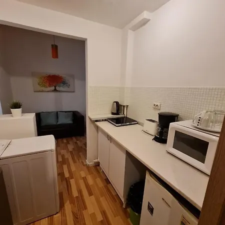 Color Nicolae Tonitza St Bükreş