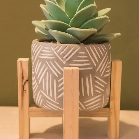 Daire Color Nicolae Tonitza St