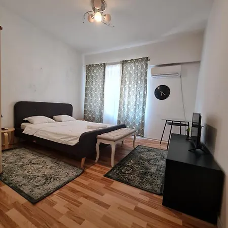 Color Nicolae Tonitza St Apartment