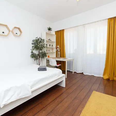 Color Nicolae Tonitza St Apartment