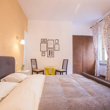 Color Nicolae Tonitza St Apartment