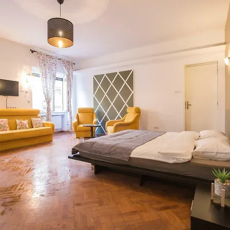 Color Nicolae Tonitza St Apartment *