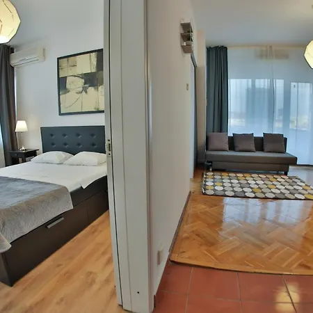 Color Nicolae Tonitza St Apartment