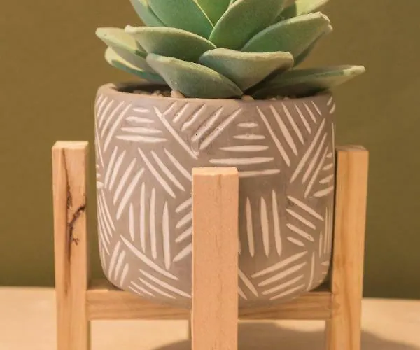 Apartmán Color Nicolae Tonitza St